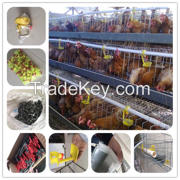 automatic breeding poultry farm cage design for big chickens