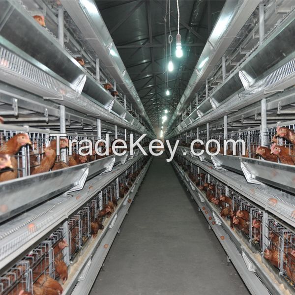 h type chicken cage broiler raising cages for keeping chicken layers