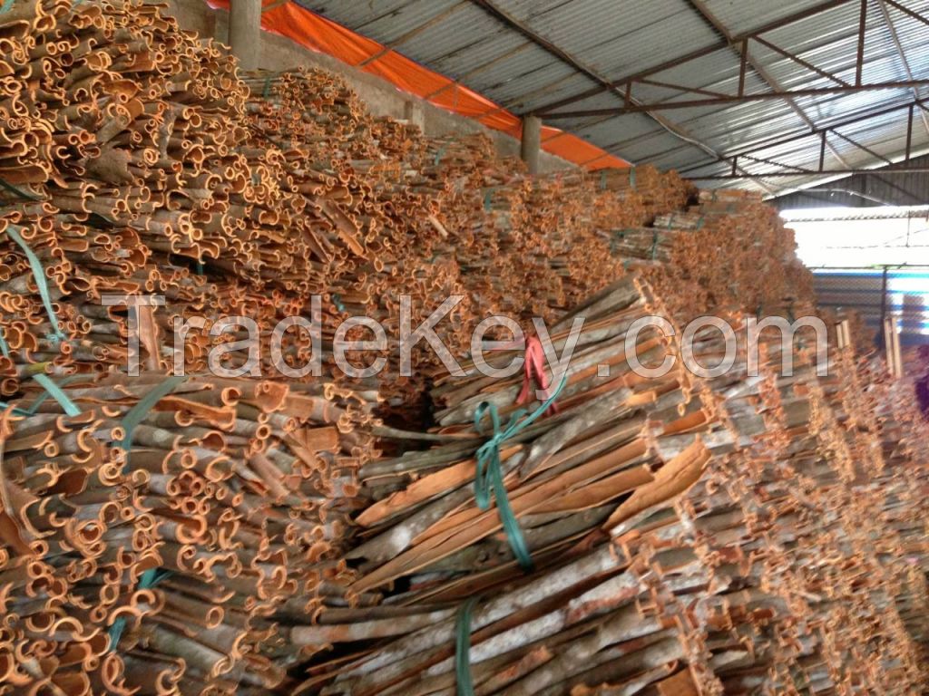 Vietnam SPLIT CASSIA _CINAMON whatsapp: +84 989322607