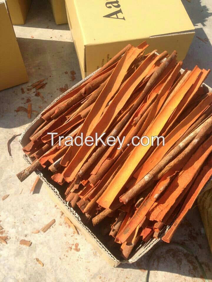 Vietnam SPLIT CASSIA _CINAMON whatsapp: +84 989322607