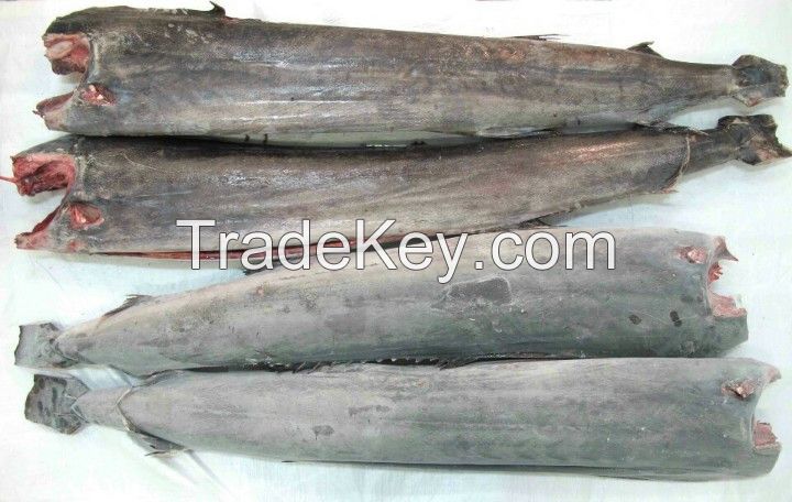 Frozen Sailfish HGT_WHATSAPP: +84 989 322 607