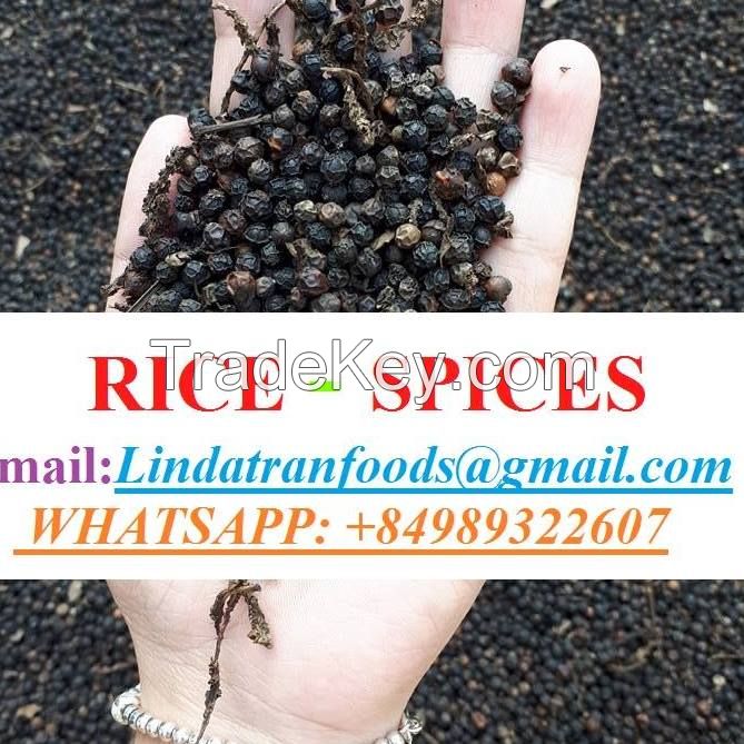 Black Pepper whatsapp: +84 989322607