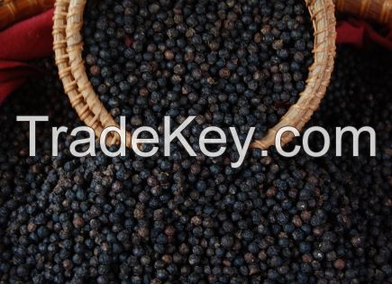 Quality Black pepper berries from malaysia, south east asia direct from farmers, spices, food, hu jiao