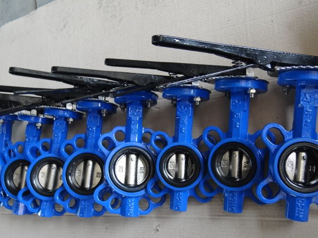 Lever&amp;Gear Operated Lug Type Butterfly Valve Without Pin Butterfly Valve Manufacturer