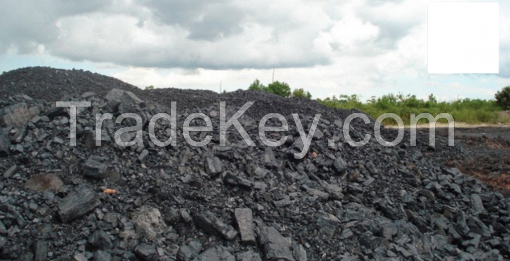 Steam/Thermal coal