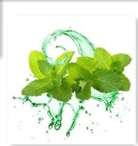 Flavour Concentrate, mint series,ZHII