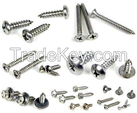 304 316 Stainless Steel Screw