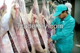 HALAL FROZEN/FRESH BEEF/MUTTON/CHICKEN
