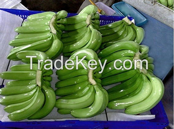 Fresh Cavendish Banana