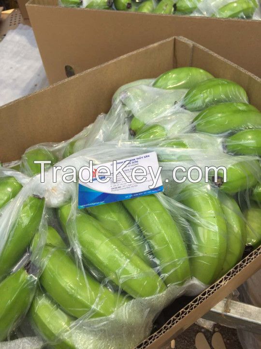 Cavendish Bananas (+841214627828)