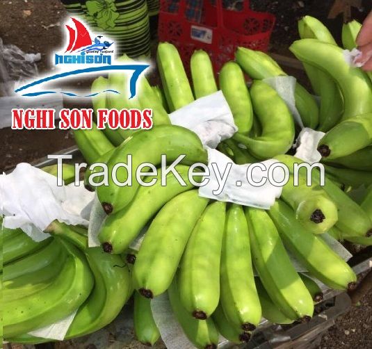 Cavendish Bananas (+841214627828)