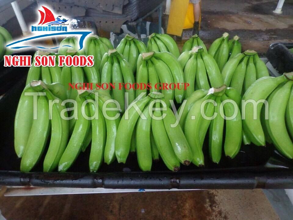 Cavendish Bananas (+841214627828)