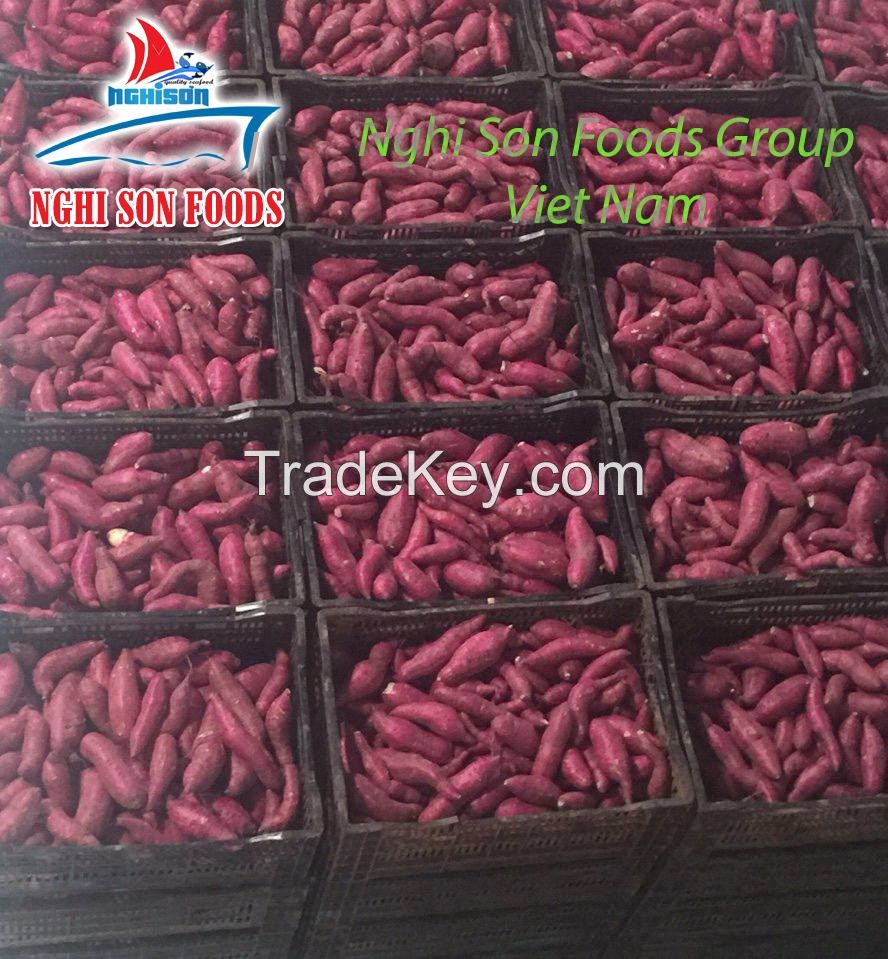 Sweet Japan Potatoes from VIETNAM (0084 1679756513)