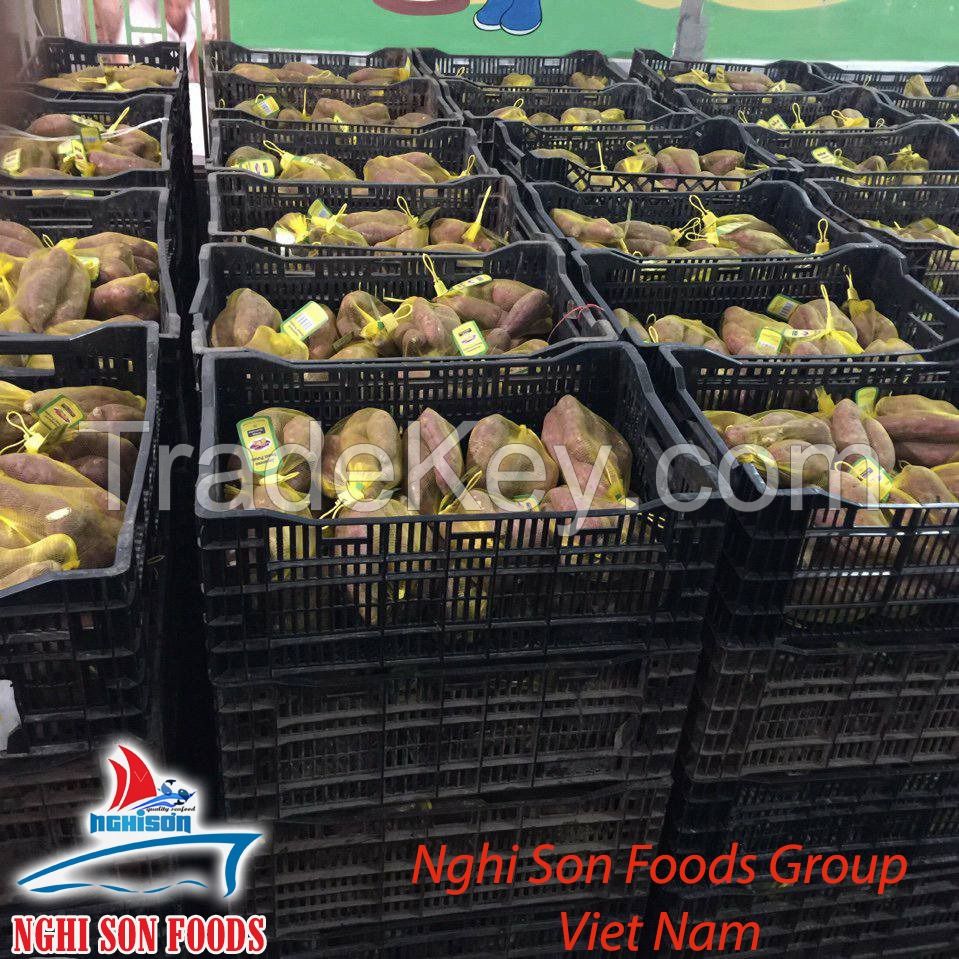 Sweet Japan Potatoes from VIETNAM (0084 1679756513)