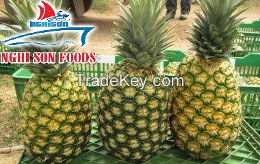 VIETNAMESE FRESH PINEAPPLE WITH WHOLESALE PRICE