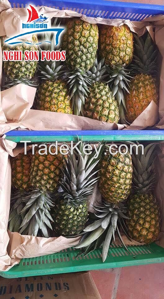 VIETNAMESE FRESH PINEAPPLE WITH WHOLESALE PRICE