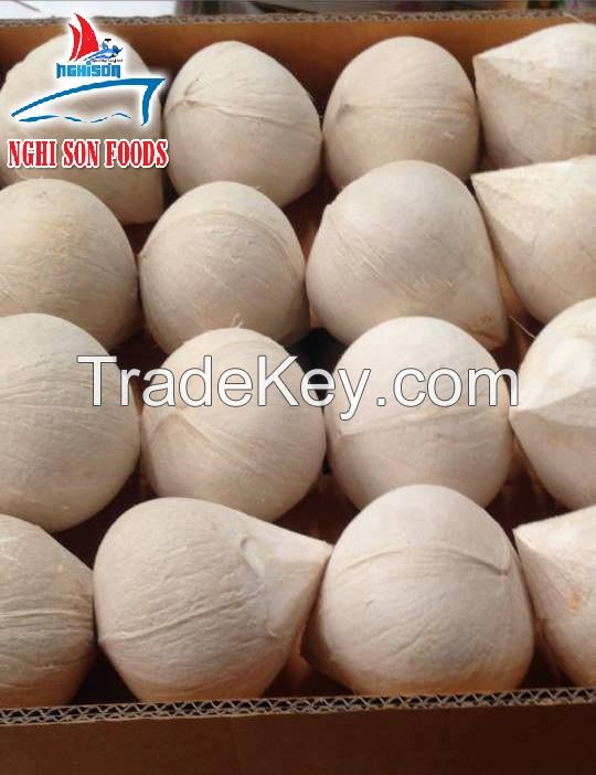 BEST SELLER VIETNAMESE FRESH COCONUT