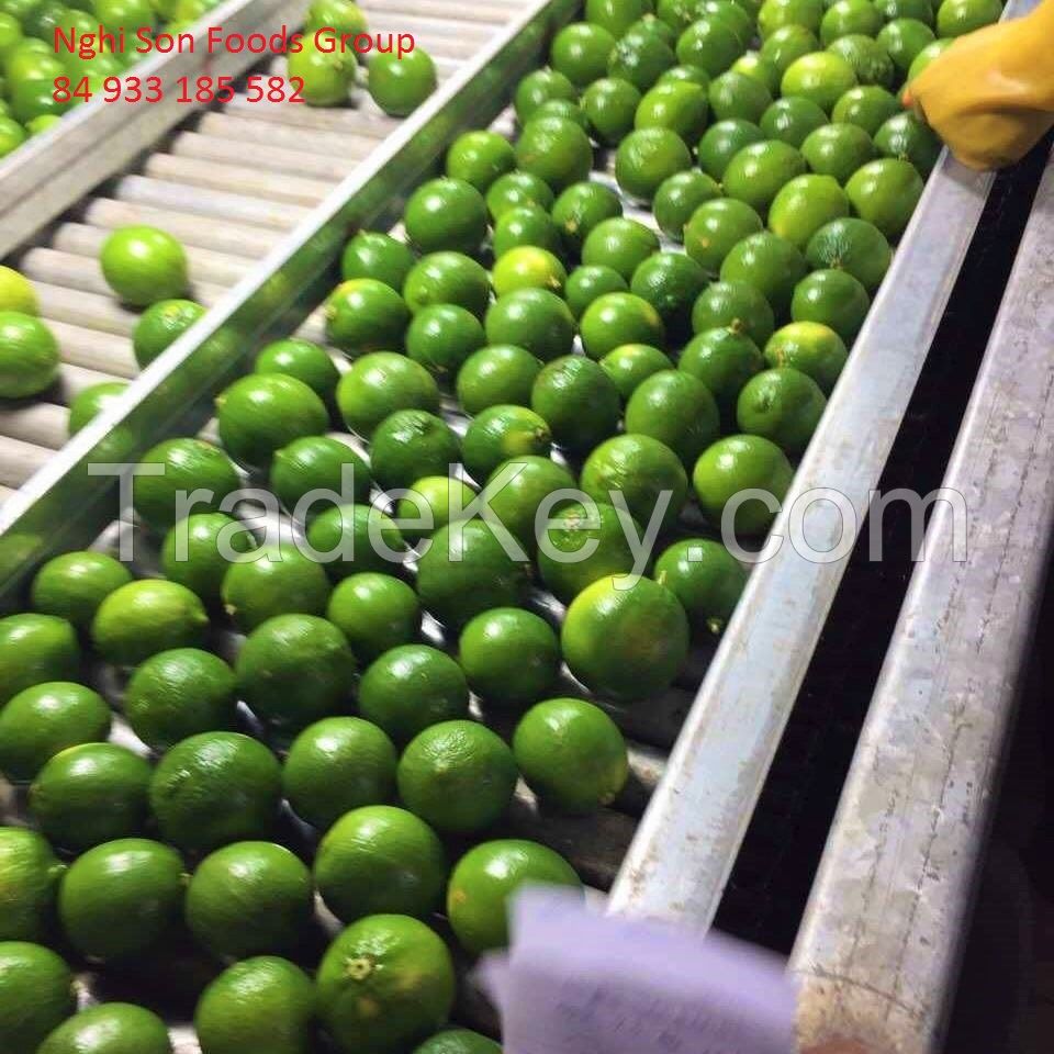 Fresh Seedless/seed Lime