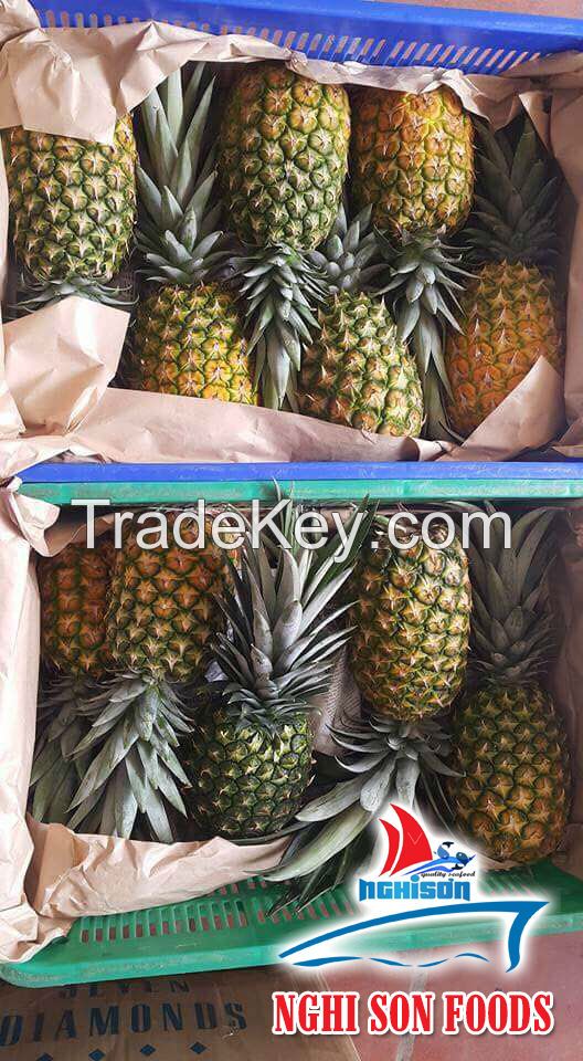 Fresh Pineapple