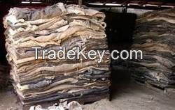 Dry Salted Donkey Skin, Cow Skin (Hides).