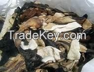 Wet/Dry Salted Donkey Skin, Cow Skin (Hides).