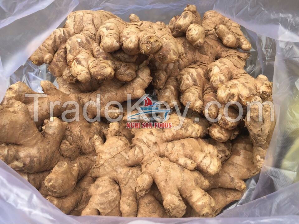 Fresh Ginger ( Ms Cris Nguyen +84 932 744654)