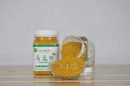 Camellia Bee Pollen Best Quality Export