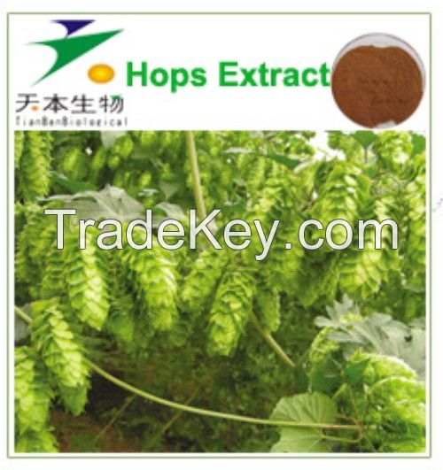 High Quality Hops extract