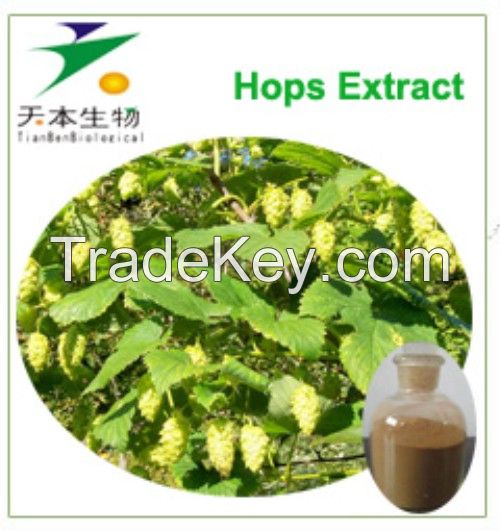 High Quality Hops extract