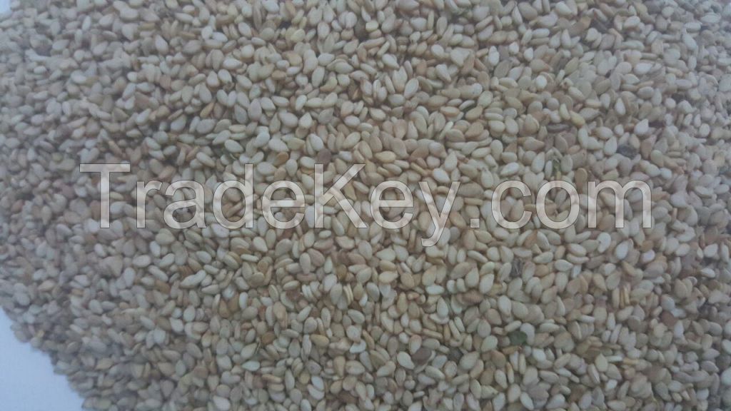 Sesame Seeds