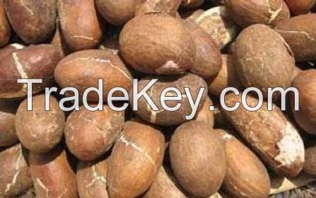 Garcinia Kola(bitter kola nuts)