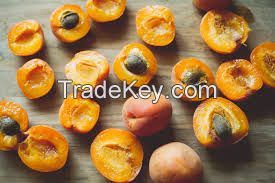 Fresh Apricots