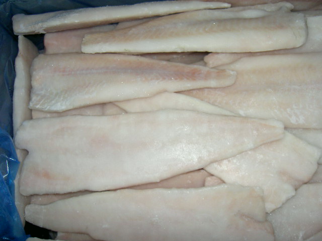 frozn alaska pollock fillets