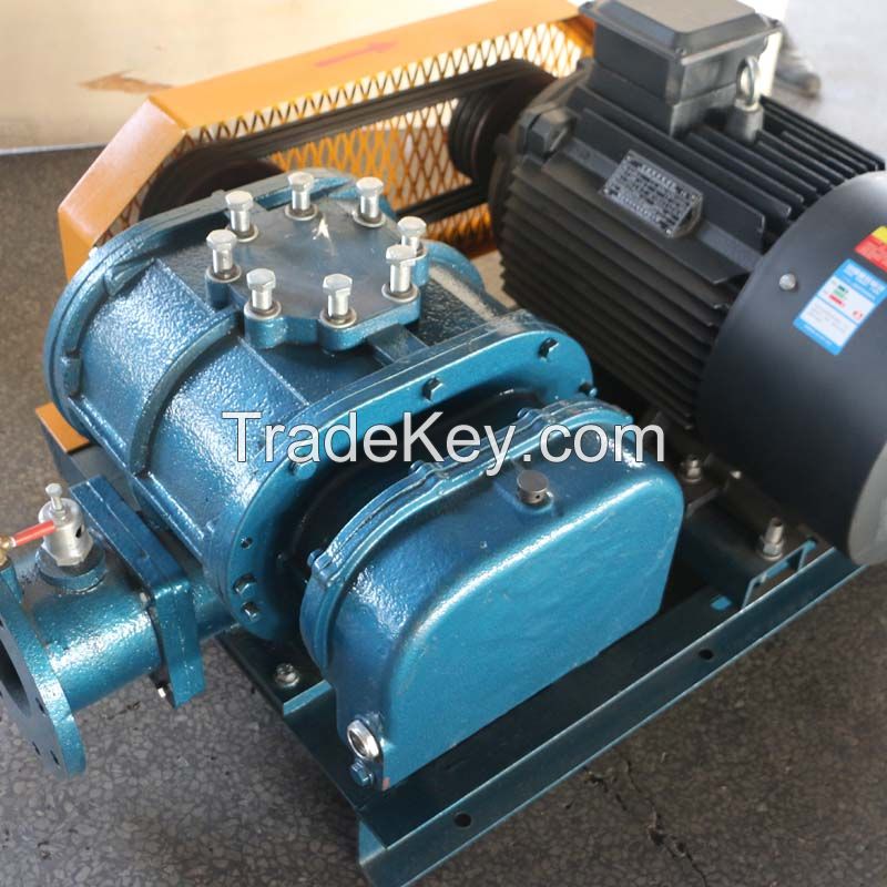 Roots type rotary blower