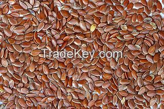 High Quality Brown Flax Seeds