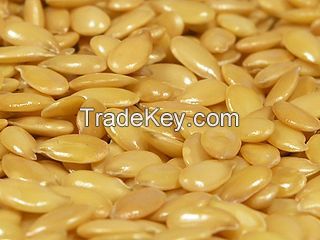 High Quality Golden Flax Seeds