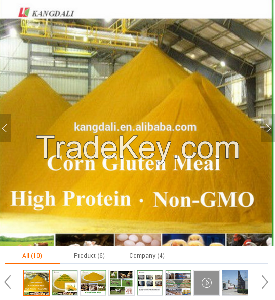  corn gluten meal 60% 