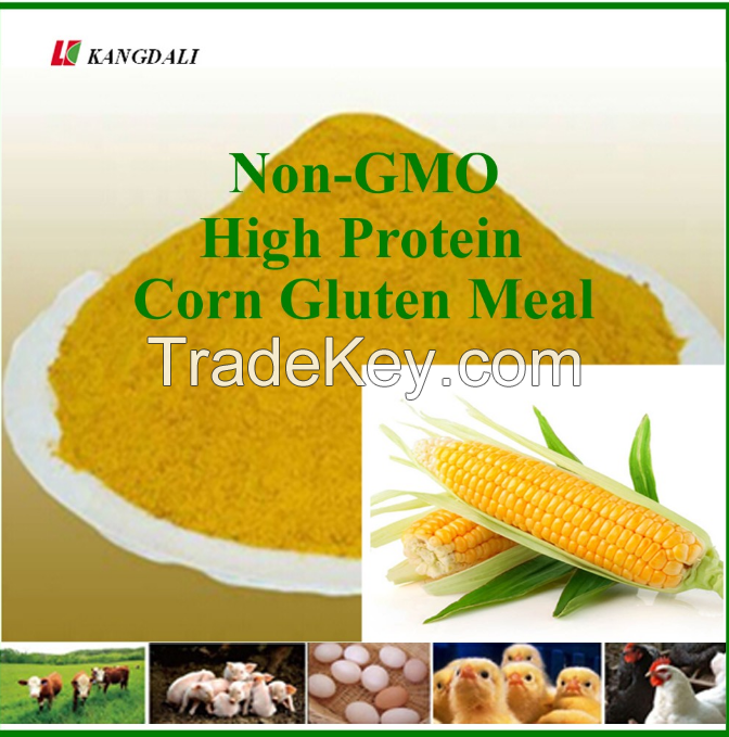  corn gluten meal 60% 