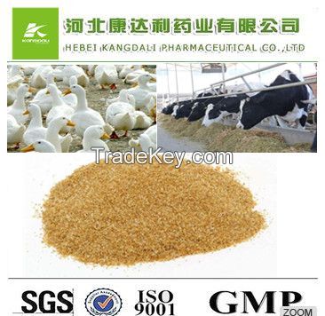 99% high quality raw powder Choline chloride