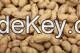 Cashew Nuts White Whole/ Split Cashew Nuts/ Cashew Kernels WW240/ WW320/ WW450/ WS/ LP/ SP 