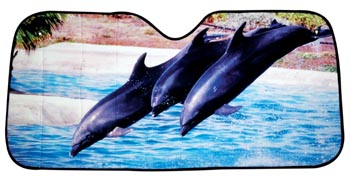 Car sunshade (2)