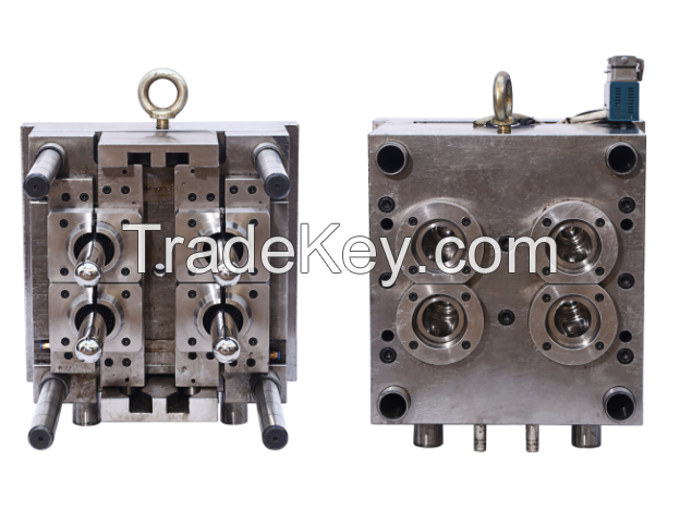 pet preform mould