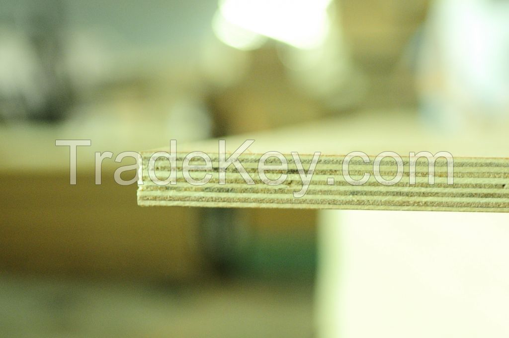 wholesale Commercial Plywood combi core MR glue