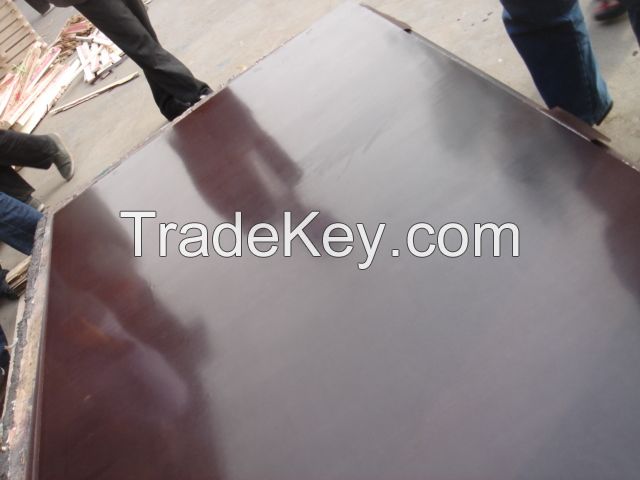 Plain Film Faced Plywood construction plywood Reusable high quality plywood supplier