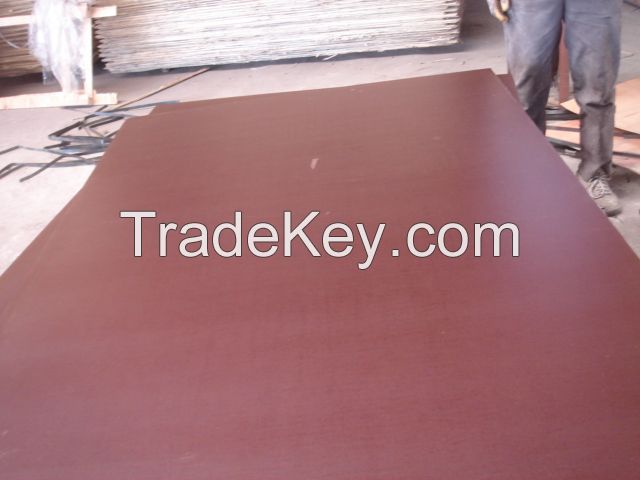 top quality plywood supplier Brown Film Faced Plywood poplar core