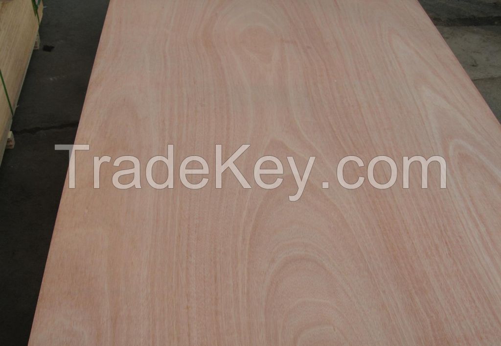 top quality plywood wholesaler shuterring plywood/Marine plex film faced plywood in stock/engineered plywood