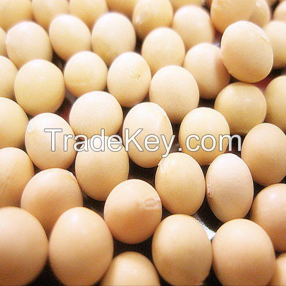 organic soybean seeds non gmo