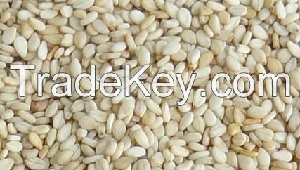 natural sesame seeds