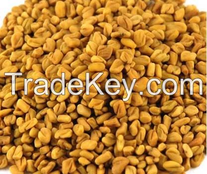 Fenugreek Seeds