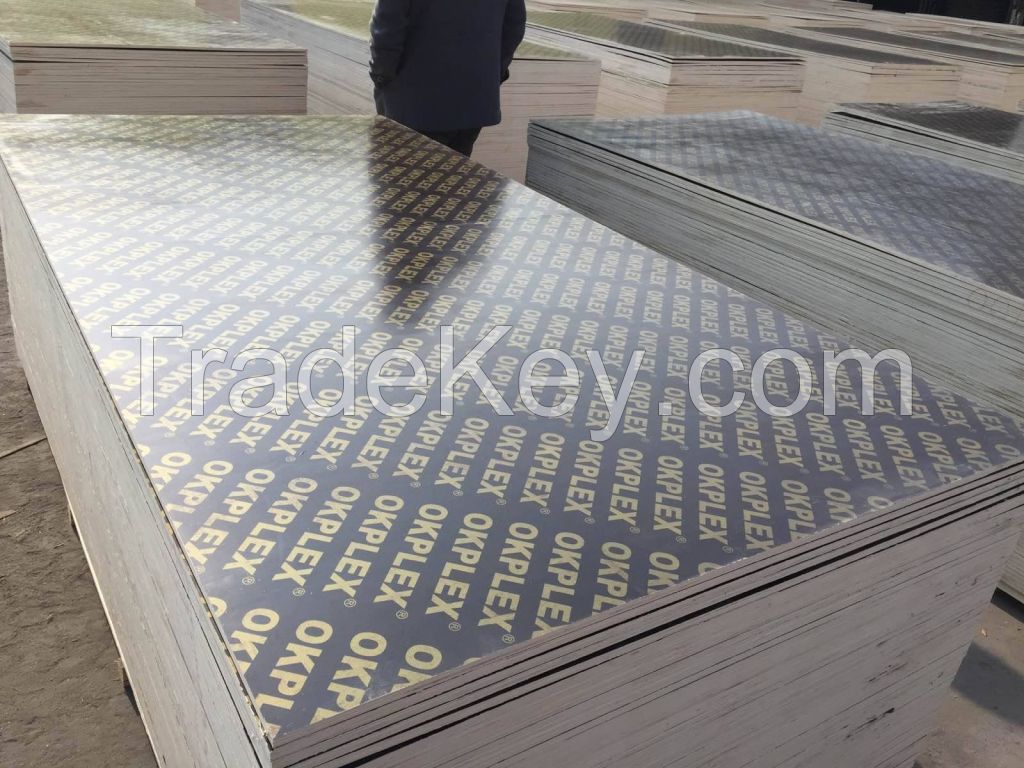 Waterproof black film faced plywood / construction shuttering plywood 1220 x 2440 x 18 mm